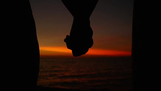 慢动作: 年轻夫妇在观看风景如画的日落时握着手。