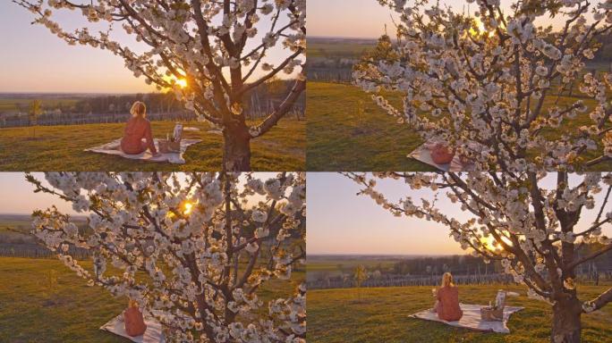 WS年轻女子在日落时在田园诗山樱花树下的野餐毯上喝香槟