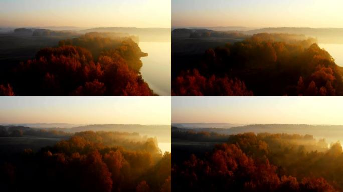 无人机在雄伟的黄色秋湖森林上空飞行，薄雾笼罩着史诗般的日落天际线。和平的自然。