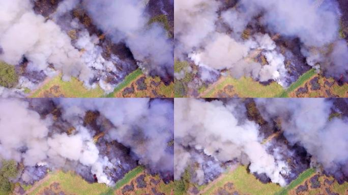 森林大火正在燃烧烧荒俯拍防火消防浓烟烟尘