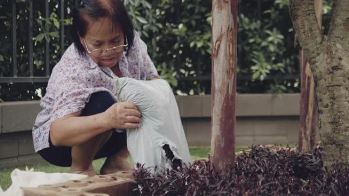 高级妇女双手在黑土上种植小树