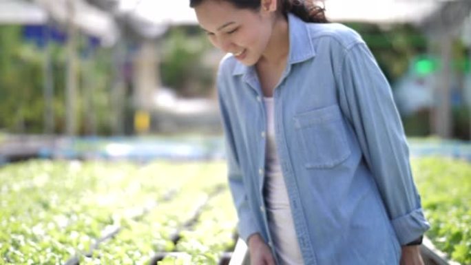 年轻的农民在农场收获蔬菜