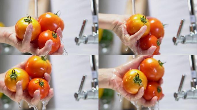 女人的手洗新鲜蔬菜。清洁西红柿