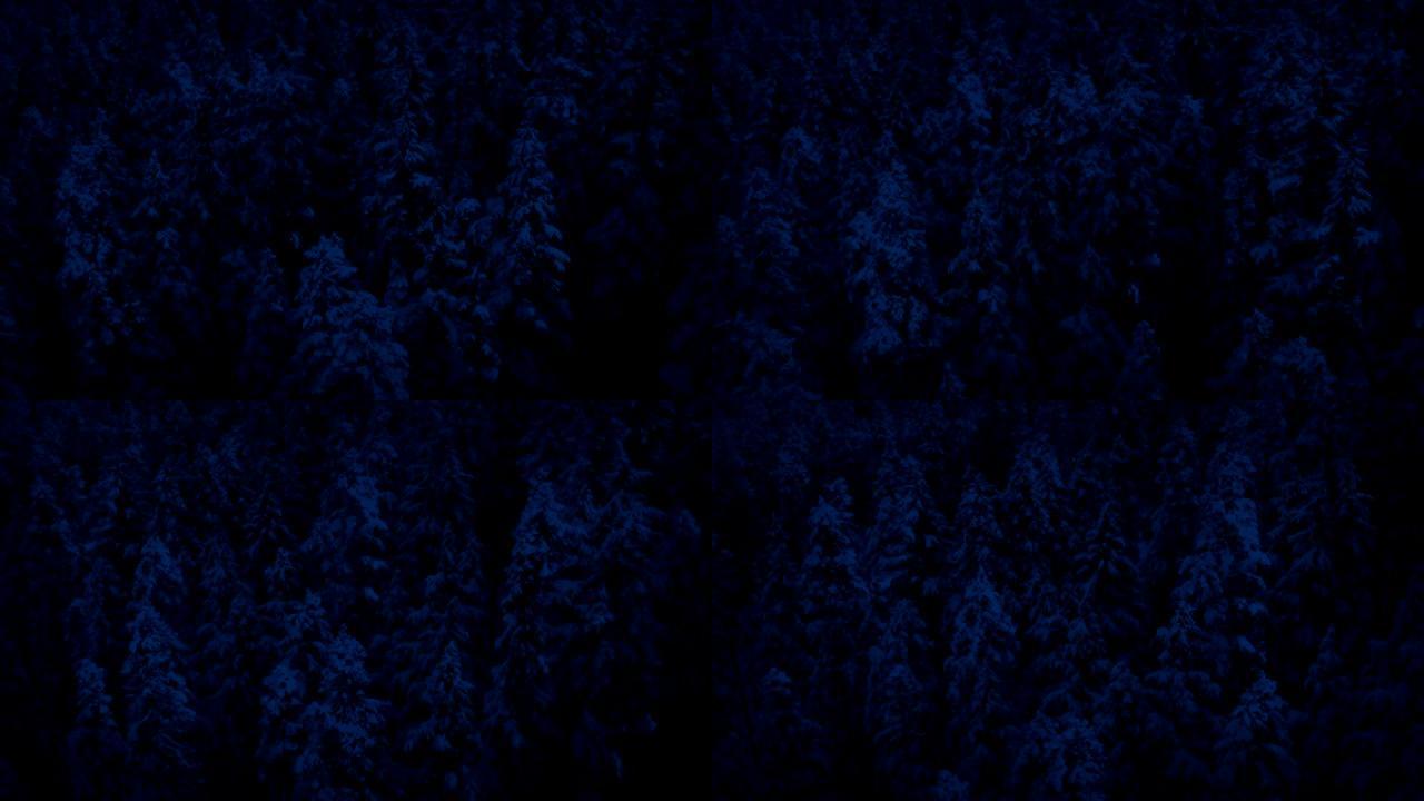 夜间飞越积雪覆盖的森林