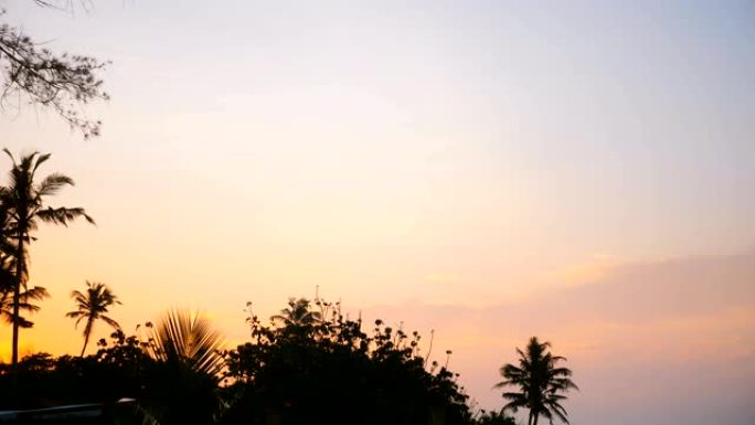 田园诗般的时光流逝背景拍摄美丽的棕榈树剪影在异国情调的海滩日出上，太阳慢慢升起。