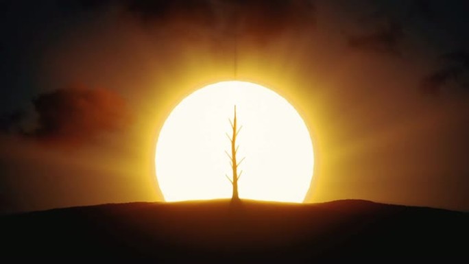 日出背景上快速生长的树