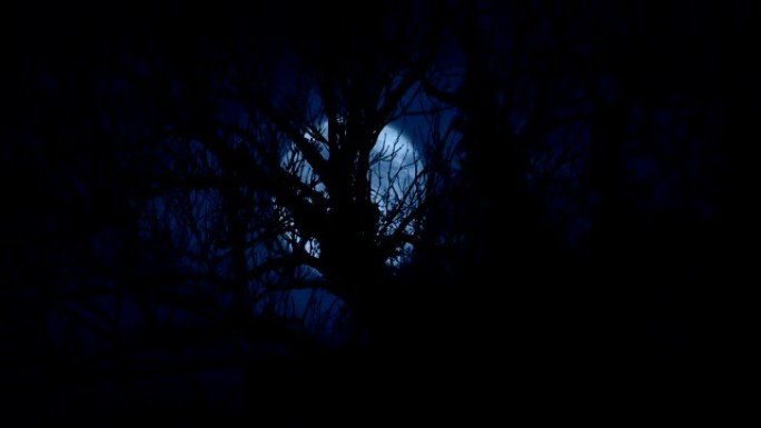 月亮在杂草丛生的老树后面移动