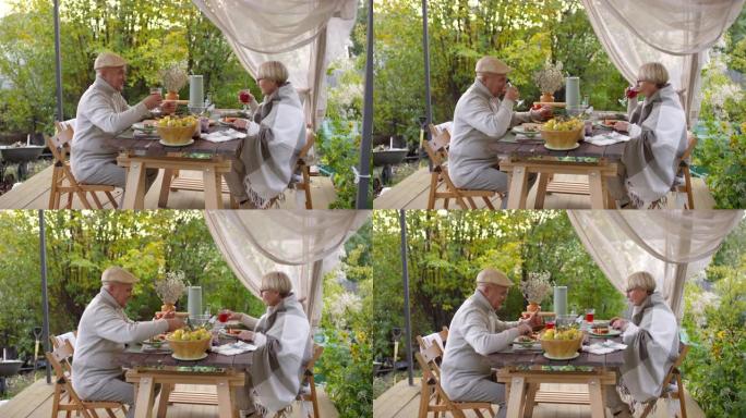 老年夫妇在花园里吃便餐并敬酒