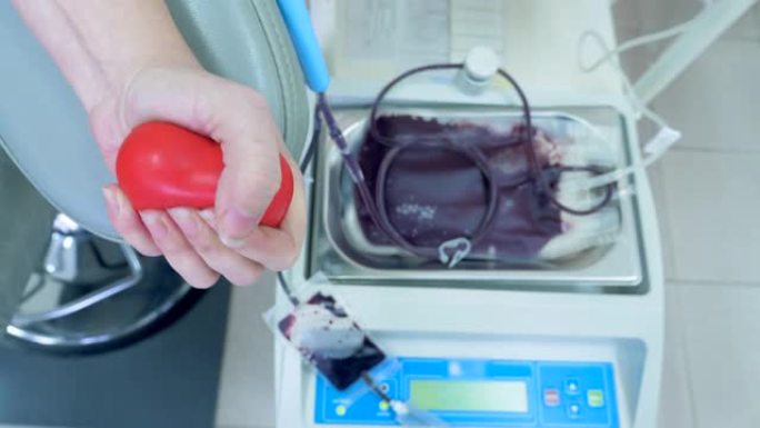 自动机器从输血中心捐献者的手臂抽血。