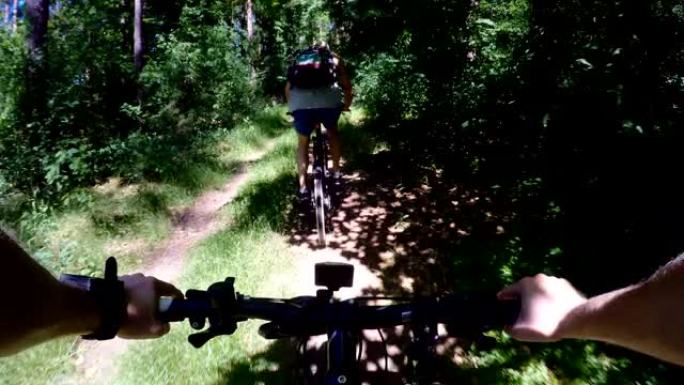 森林中的夏季自行车旅行。视点
