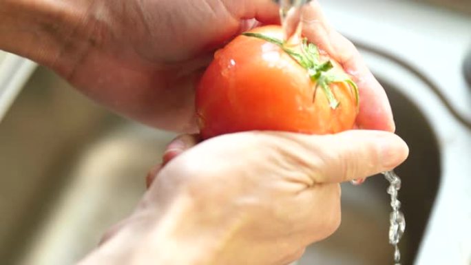 慢动作手洗番茄洗西红柿