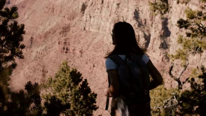 快乐年轻女游客背包观看大峡谷岭史诗般的夏日风景的惊人电影镜头。