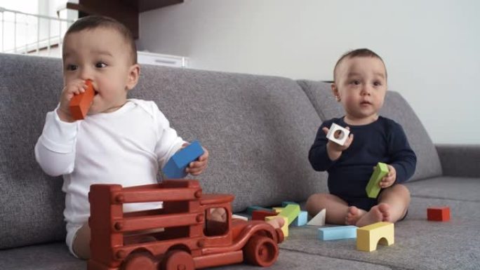 混血同卵双胞胎玩耍和咀嚼木制玩具