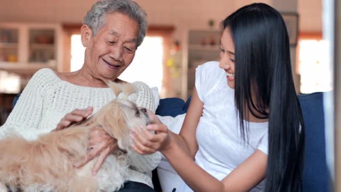 快乐的志愿者年轻的黑人女性看守和亚洲高级祖母正在家里与一只狗休息。生活方式，年长，退休，高级肖像，医