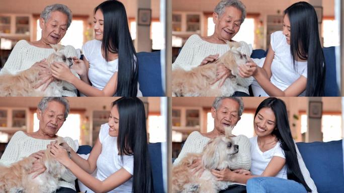 快乐的志愿者年轻的黑人女性看守和亚洲高级祖母正在家里与一只狗休息。生活方式，年长，退休，高级肖像，医