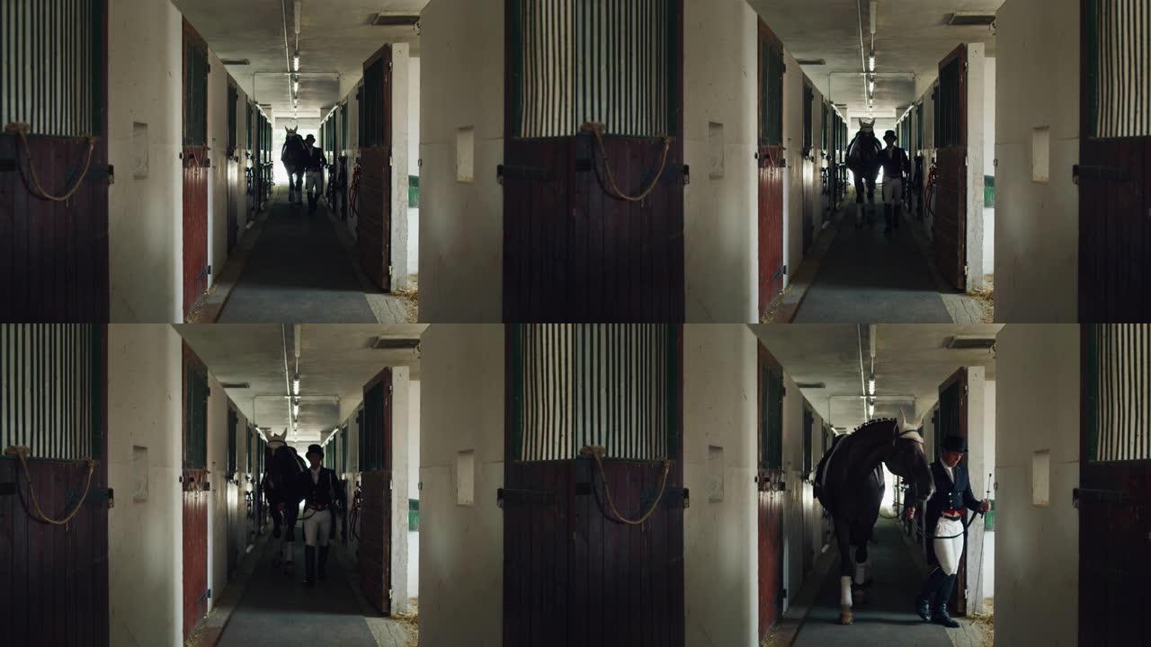 穿着专业服装的年轻马术大师的电影慢动作正在马厩里检查他的马匹，然后在骑马大厅进行比赛和盛装舞步比赛。