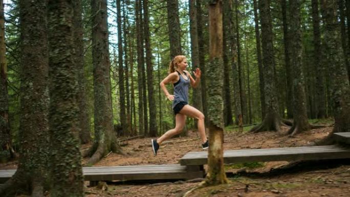 专注的女跑步者在树林里锻炼