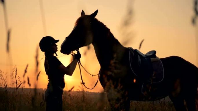骑手在田野里检查一匹马，侧视图。人和动物的爱情概念。