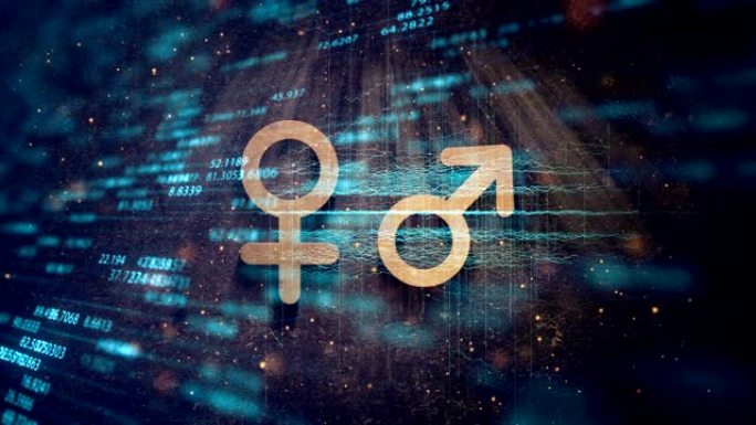 性别概念，数字技术环境中的男性和女性符号