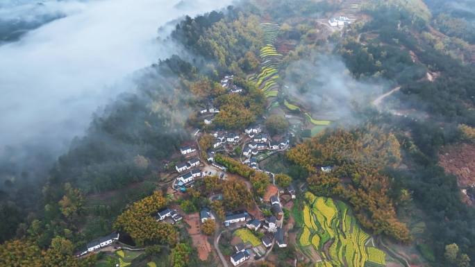 安徽黄山灵山油菜花梯田航拍