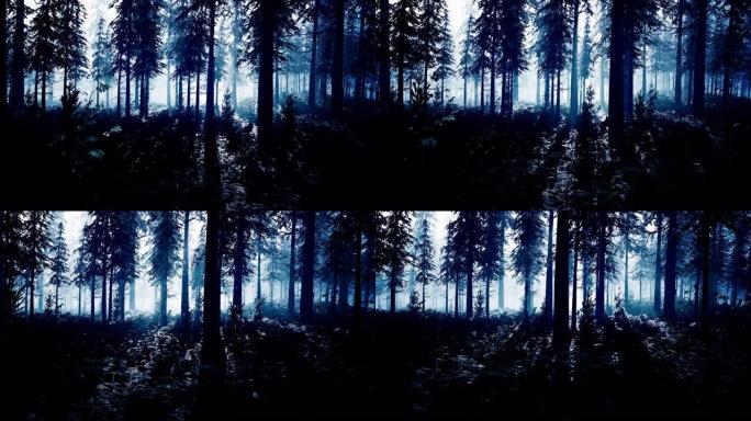 外星白光照亮的神秘黑暗森林