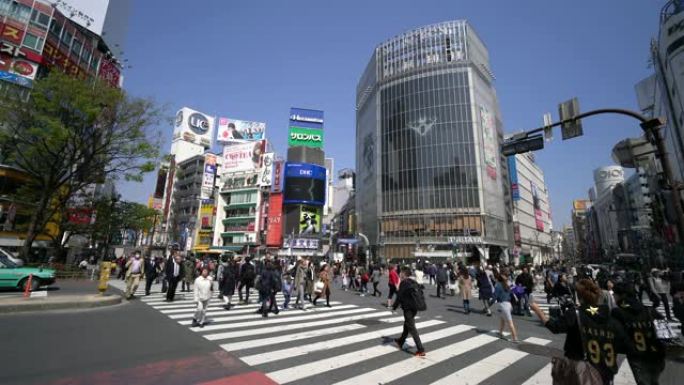 日本的人过街涩谷路口