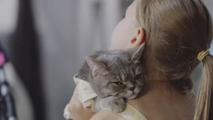 猫躺在女孩的肩膀上