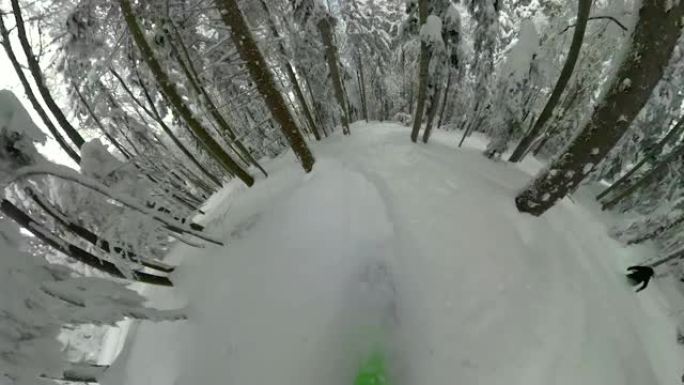 POV: 在阿尔卑斯山令人惊叹的针叶林中雕刻新鲜的雪。
