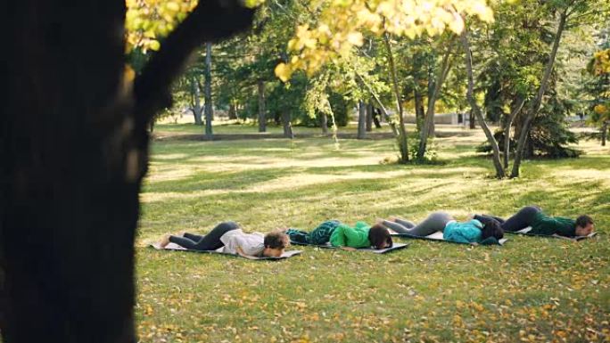 活跃的年轻人女性在公园户外进行瑜伽练习，团体中的女性穿着时髦的运动服并使用垫子。