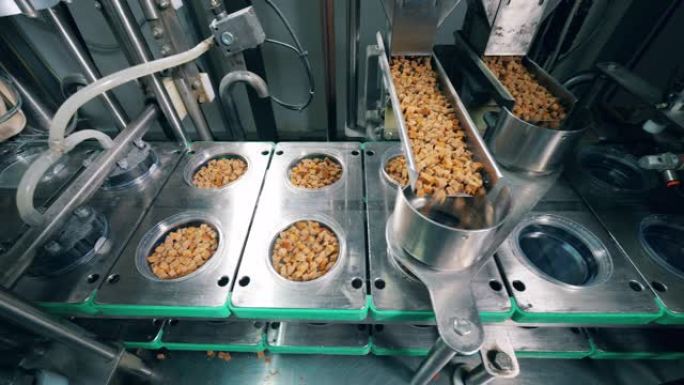 自动输送机在食品厂用干面包填充容器。