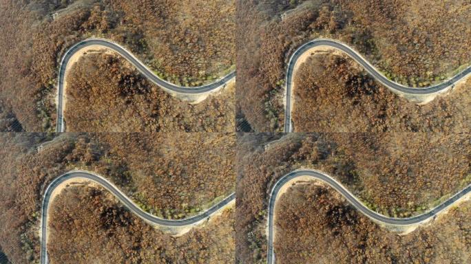 森林中蜿蜒道路的空中景观，无人机的蛇形景观