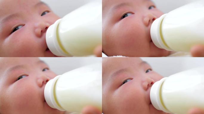 新生婴儿喝牛奶