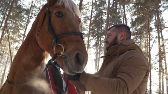 冬季男子在户外爱抚马匹
