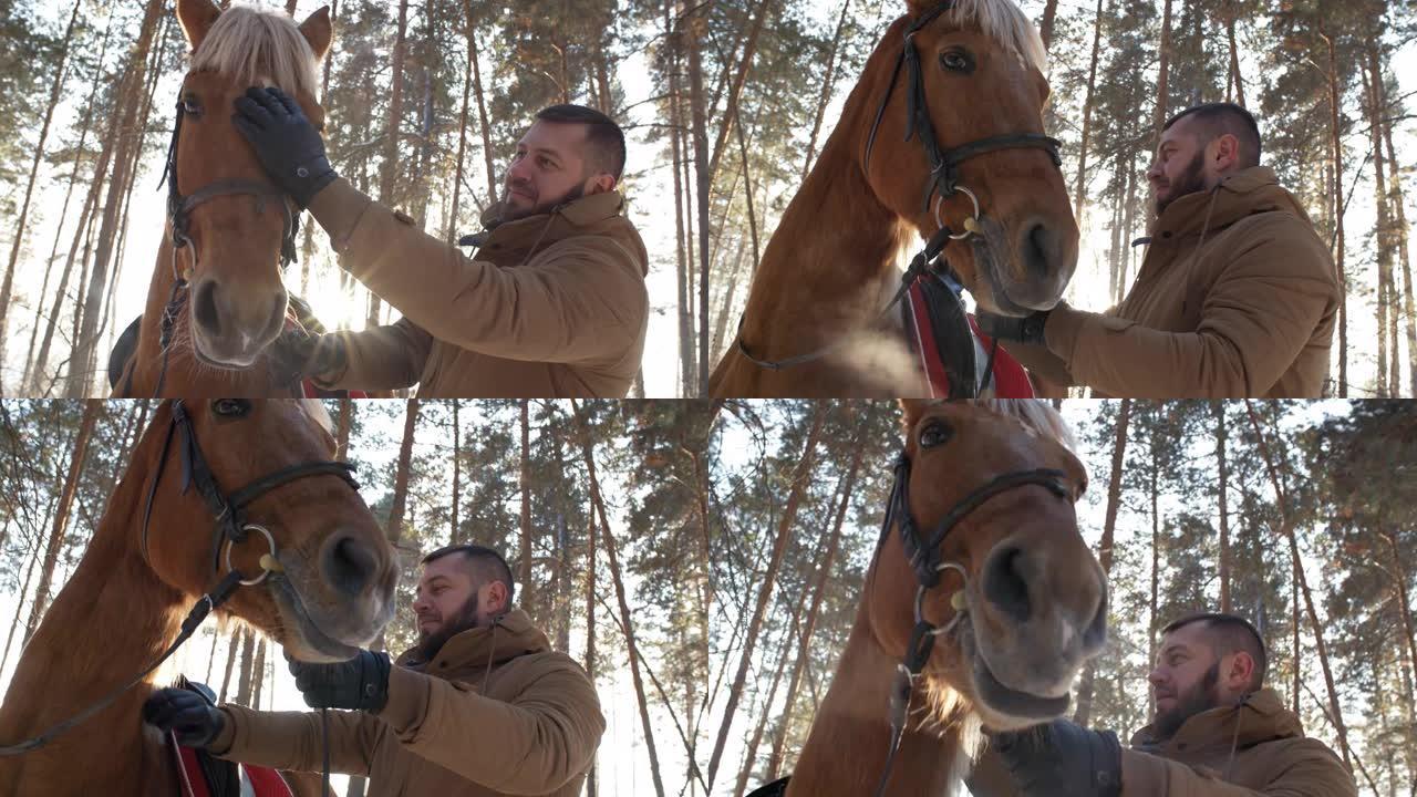 冬季男子在户外爱抚马匹