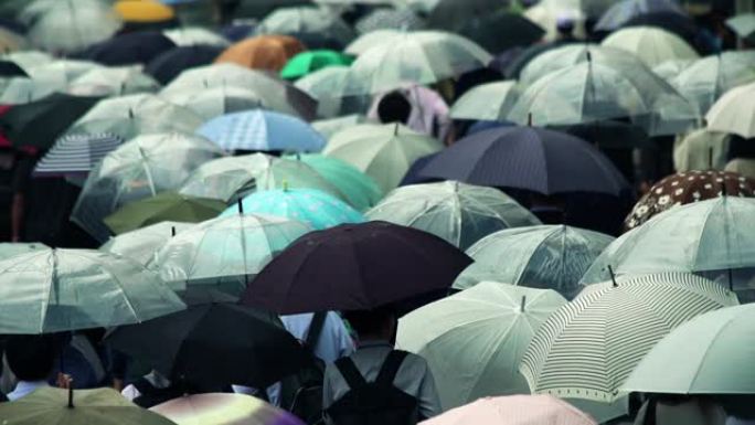 日本商人上午上班打伞下雨天