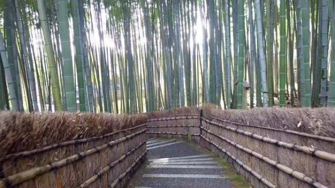 走道竹隧道命名为京都的岚山竹林，日本旅游地标