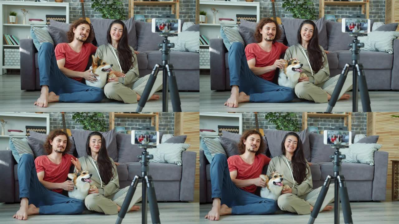 几个视频记录器使用智能手机在家录制视频爱抚柯基狗