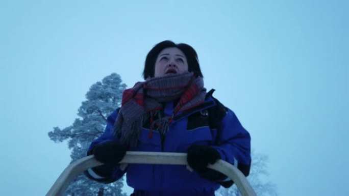 亚洲中国夫妇在冬季在芬兰进行狗拉雪橇活动