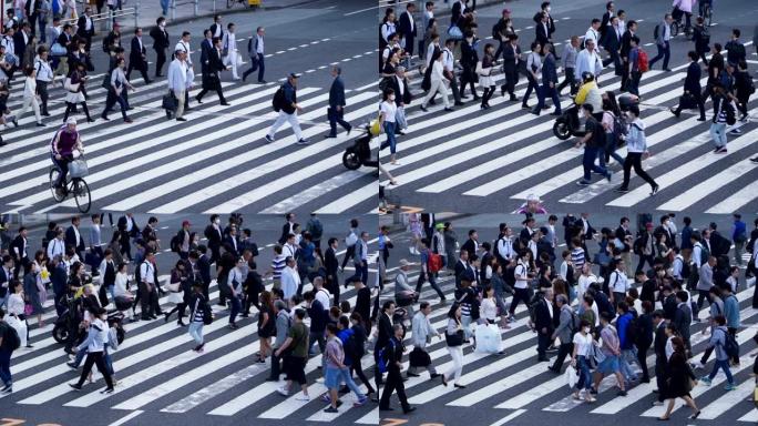 日本上野东京的斑马线。