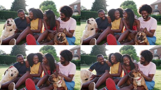 夏天，两对黑人夫妇和他们的狗一起坐在草地上