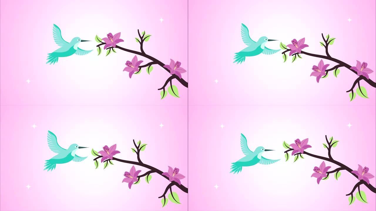 带鸟动画的美丽花朵
