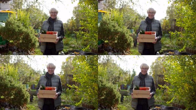 快乐的高加索女士与一箱新鲜蔬菜合影