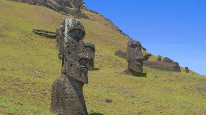 空中: 散布在草山周围的黑色火山雕像的风景。