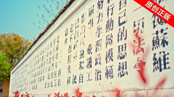 民国革命时期墙上贴的标语