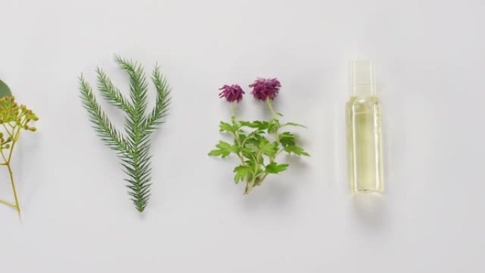 医用植物和化妆品瓶