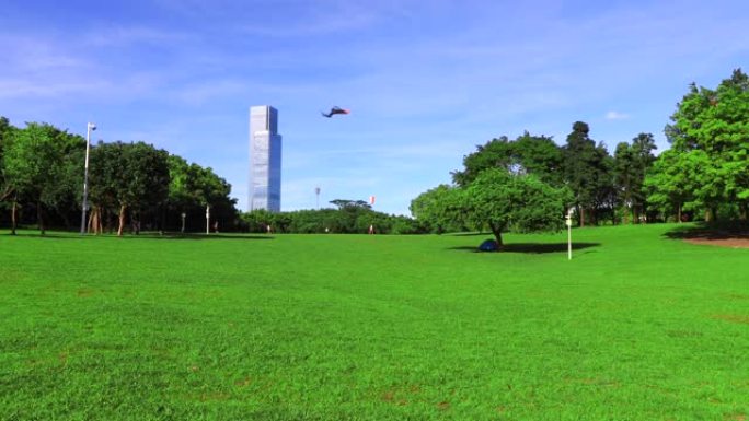 莲花山公园的WS LA草坪和树木，以及空中放风筝/中国深圳
