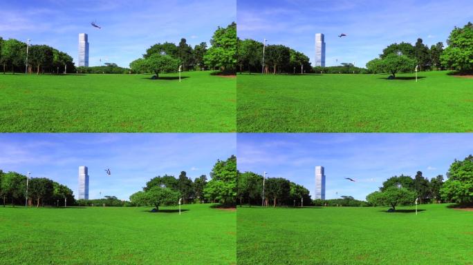 莲花山公园的WS LA草坪和树木，以及空中放风筝/中国深圳