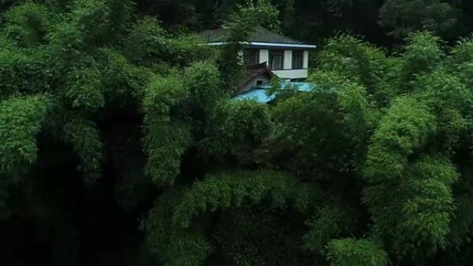 竹林中的房子山间建筑自然景色
