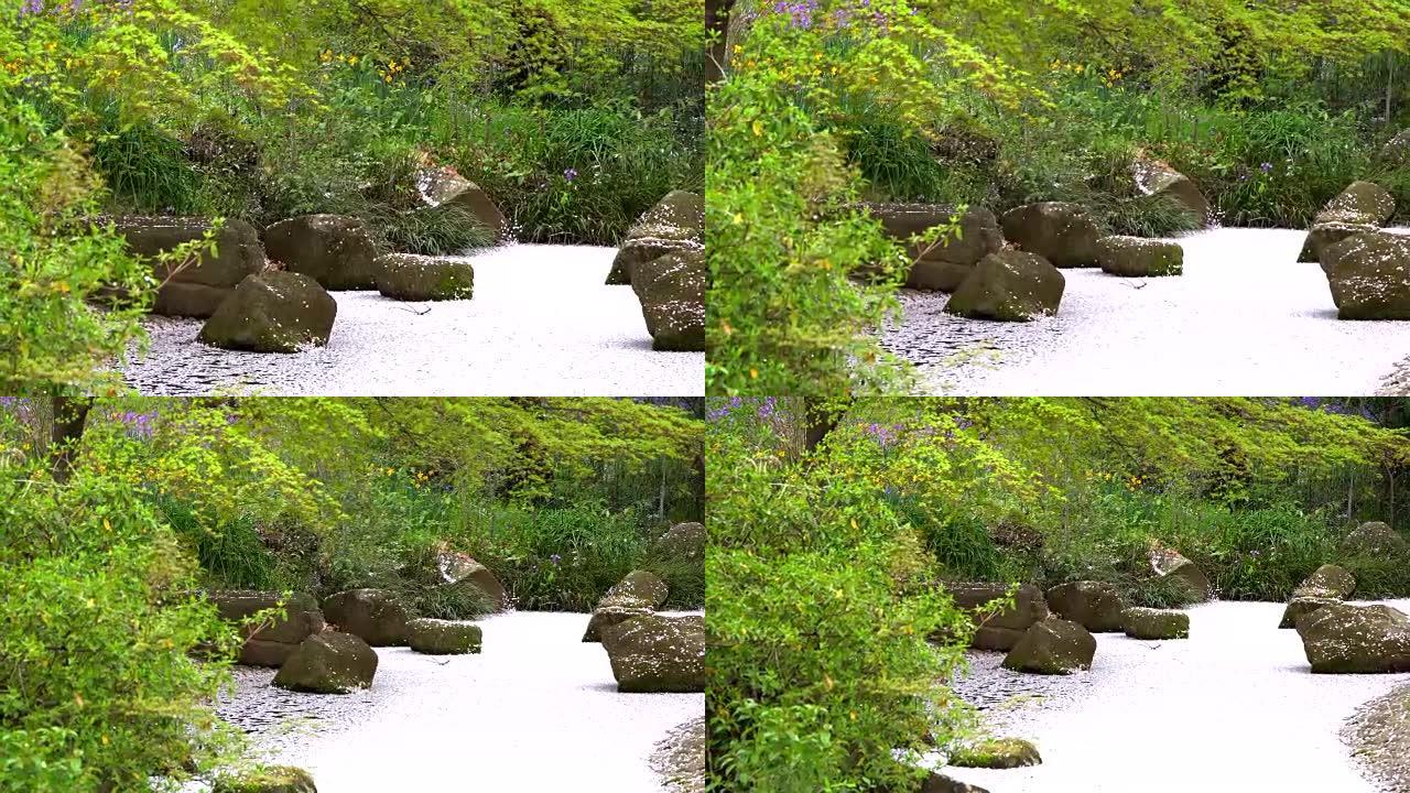 樱花又名樱花叶子在日本东京的水中掉落在地面上