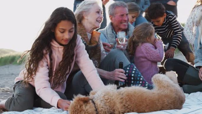 多代家庭与狗在寒海滩度假喝酒聊天